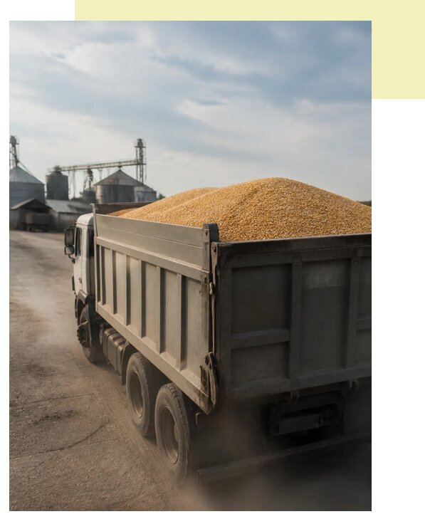 Перевозка сельхозпродукции навалом в Междуреченск по цене от 3032 р. | Агросервис-Мжд